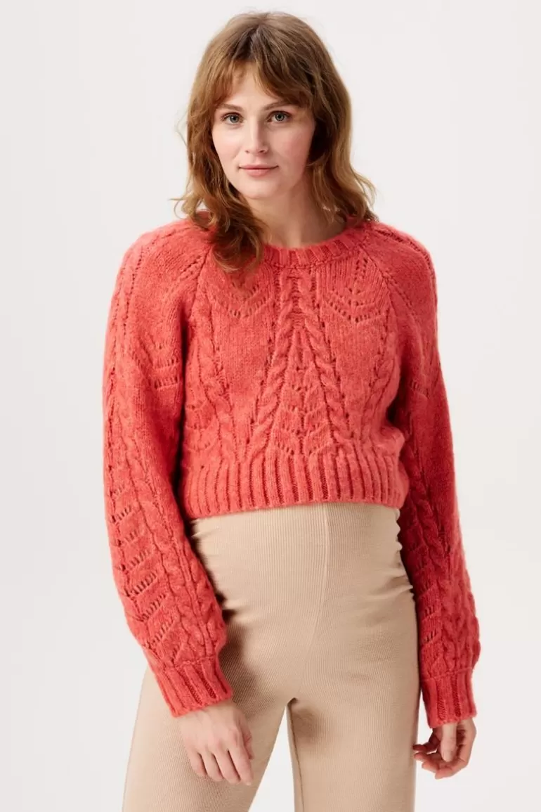 Noppies Truien & Sweaters | Truien & Sweaters<Trui Met Voedingsfunctie Esbjerg - Mineral Red